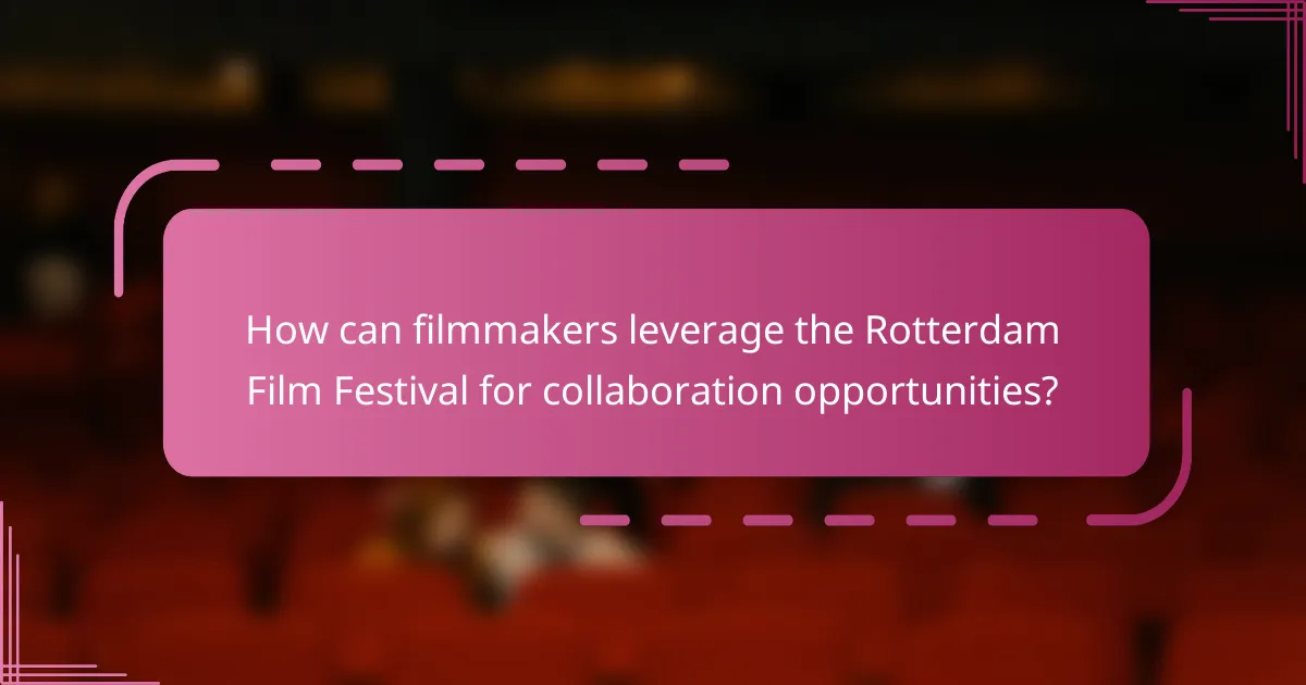 How can filmmakers leverage the Rotterdam Film Festival for collaboration opportunities?
