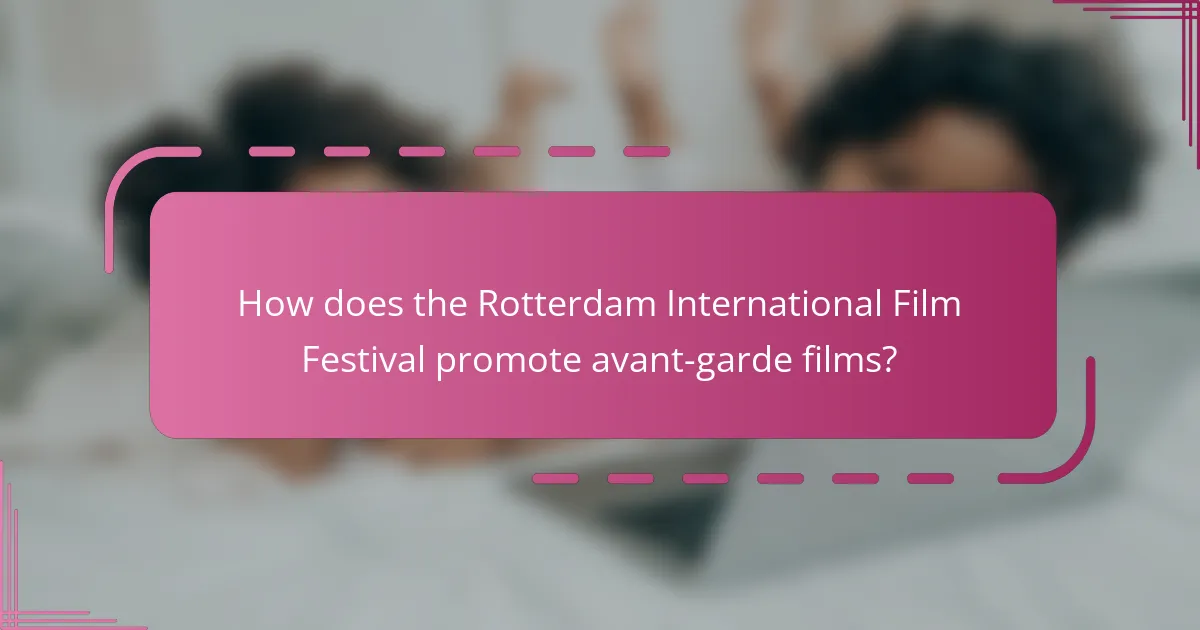 How does the Rotterdam International Film Festival promote avant-garde films?