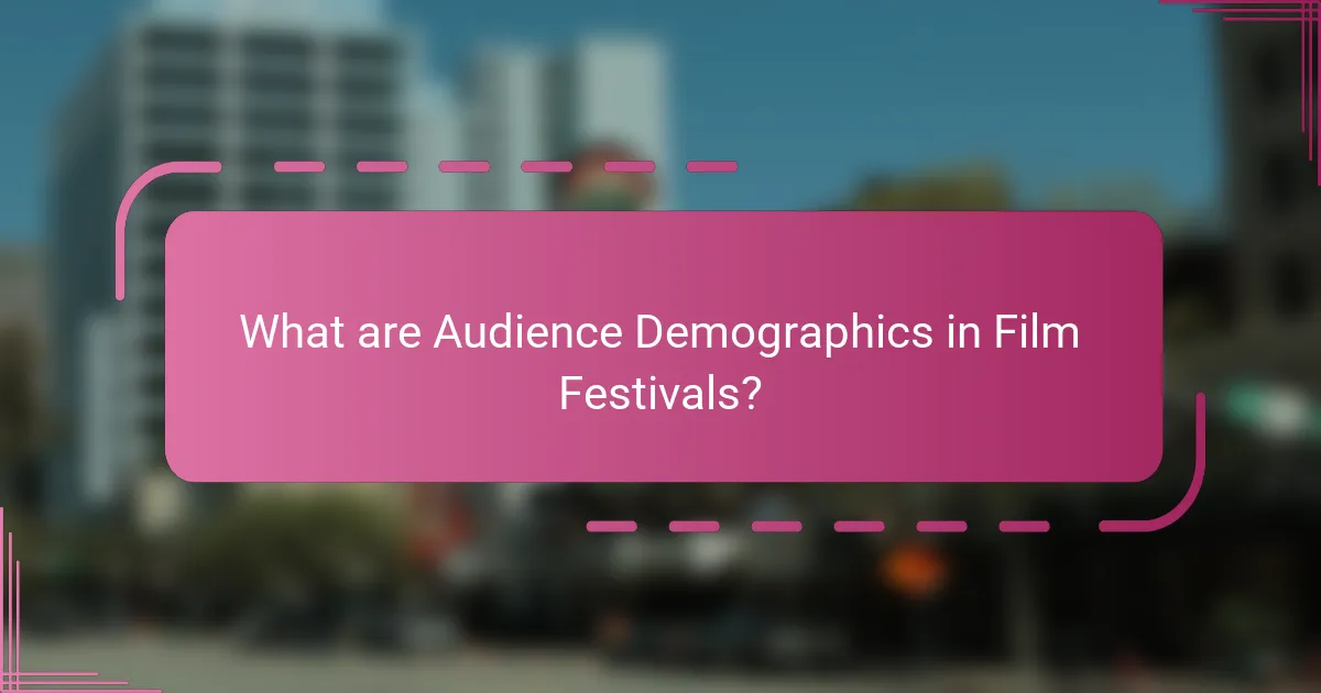 What are Audience Demographics in Film Festivals?