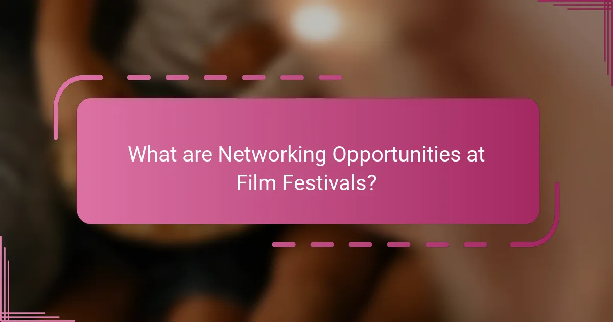 What are Networking Opportunities at Film Festivals?