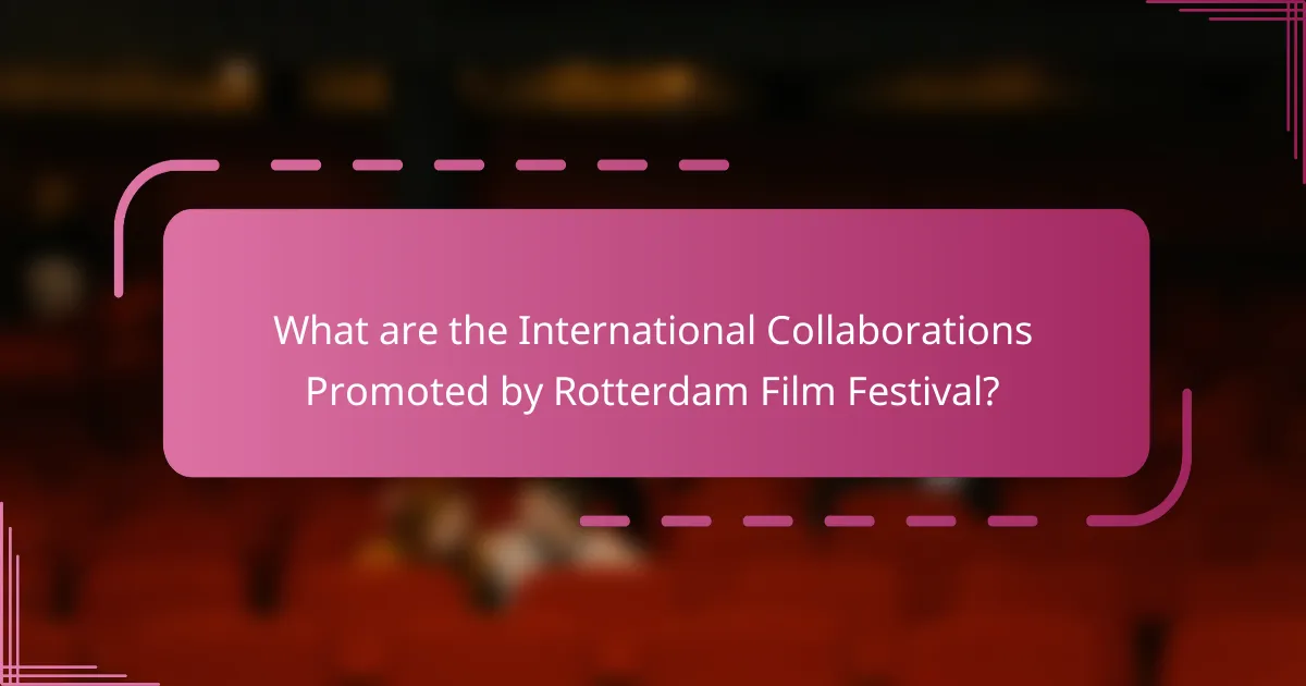 What are the International Collaborations Promoted by Rotterdam Film Festival?