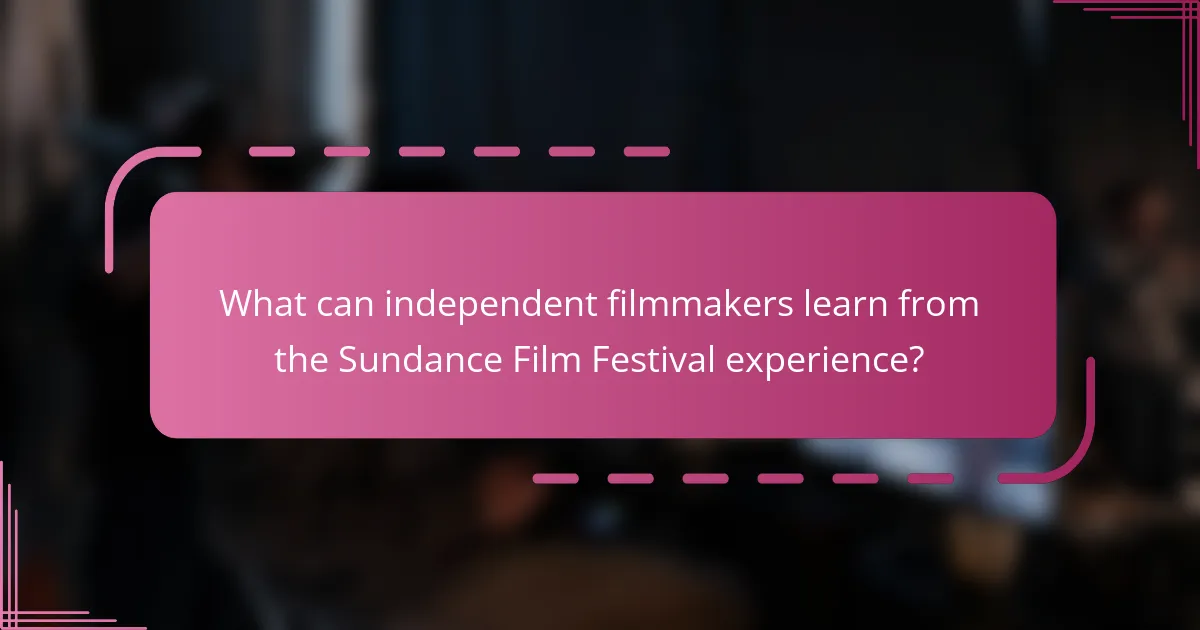 What can independent filmmakers learn from the Sundance Film Festival experience?