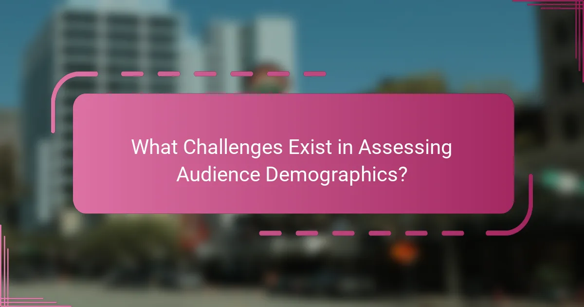 What Challenges Exist in Assessing Audience Demographics?