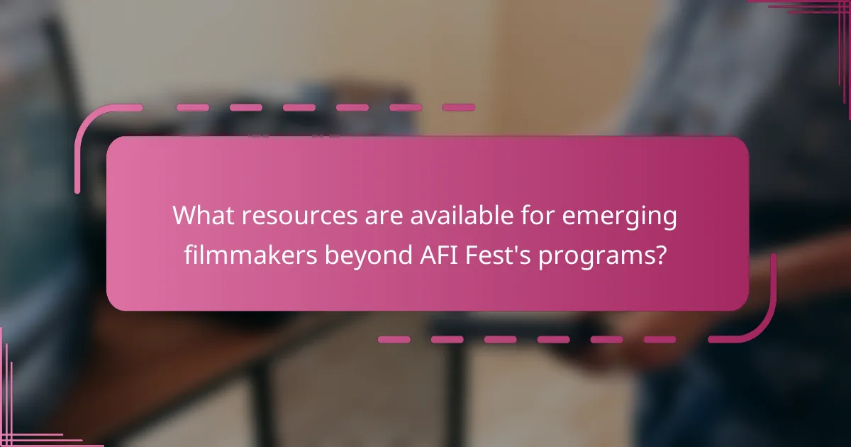 What resources are available for emerging filmmakers beyond AFI Fest's programs?
